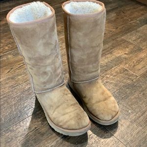 Women’s tall chestnut UGGS size 8